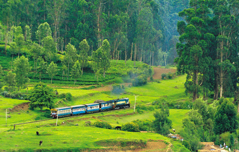 Ooty Car Rentals and Cabs For Tourists