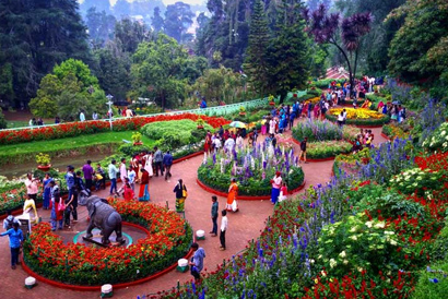 Ooty Savaari Affordable Travel