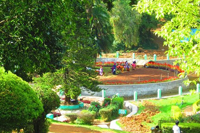 Coonoor Bus Stand Taxi Tour Agency in Coonoor Car Hire Company